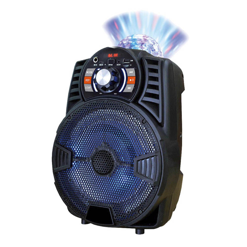 Bocina Sankey Recargable Con Amplificador 8 "