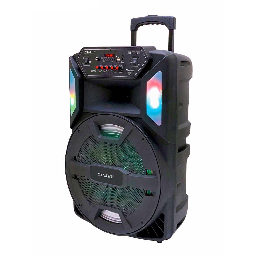 Bocina Sankey de 15"