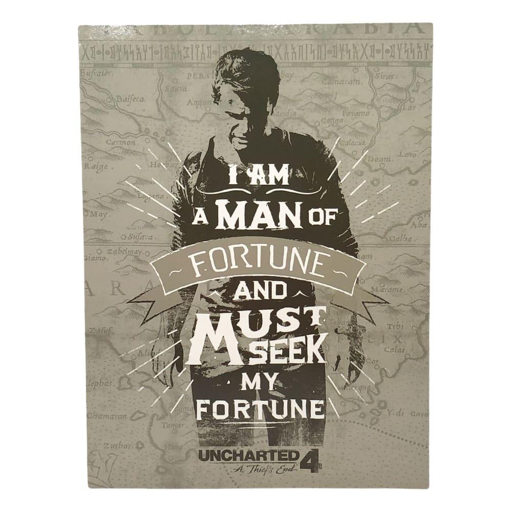 Carpeta Con Bolsillo Águila Playstation 9" x 12" - Surtido