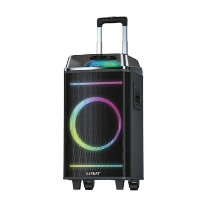 Bocina Sankey PA - 10DCN48 / 10” / 60W / Bluetooth   - Sankey - Titan.com.pa - 7453118904655