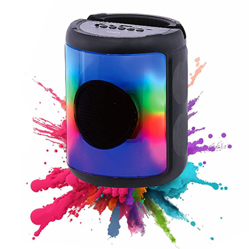 Bocina Sankey Recargable 3"