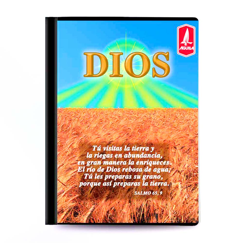 Cuaderno Cosido Pequeño Raya Ancha Águila Vida de 200 Páginas