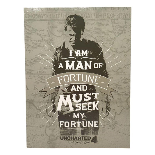 Carpeta Con Bolsillo Águila Playstation 9" x 12" - Surtido