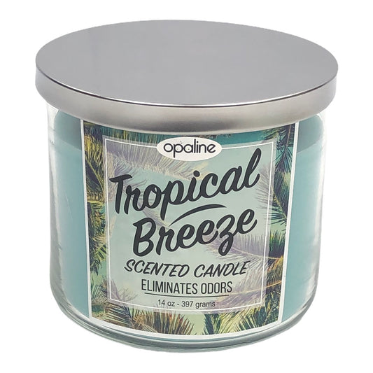 Vela Aromática Maxs Wholesale Tropical Brezze 14 oz - Azul claro