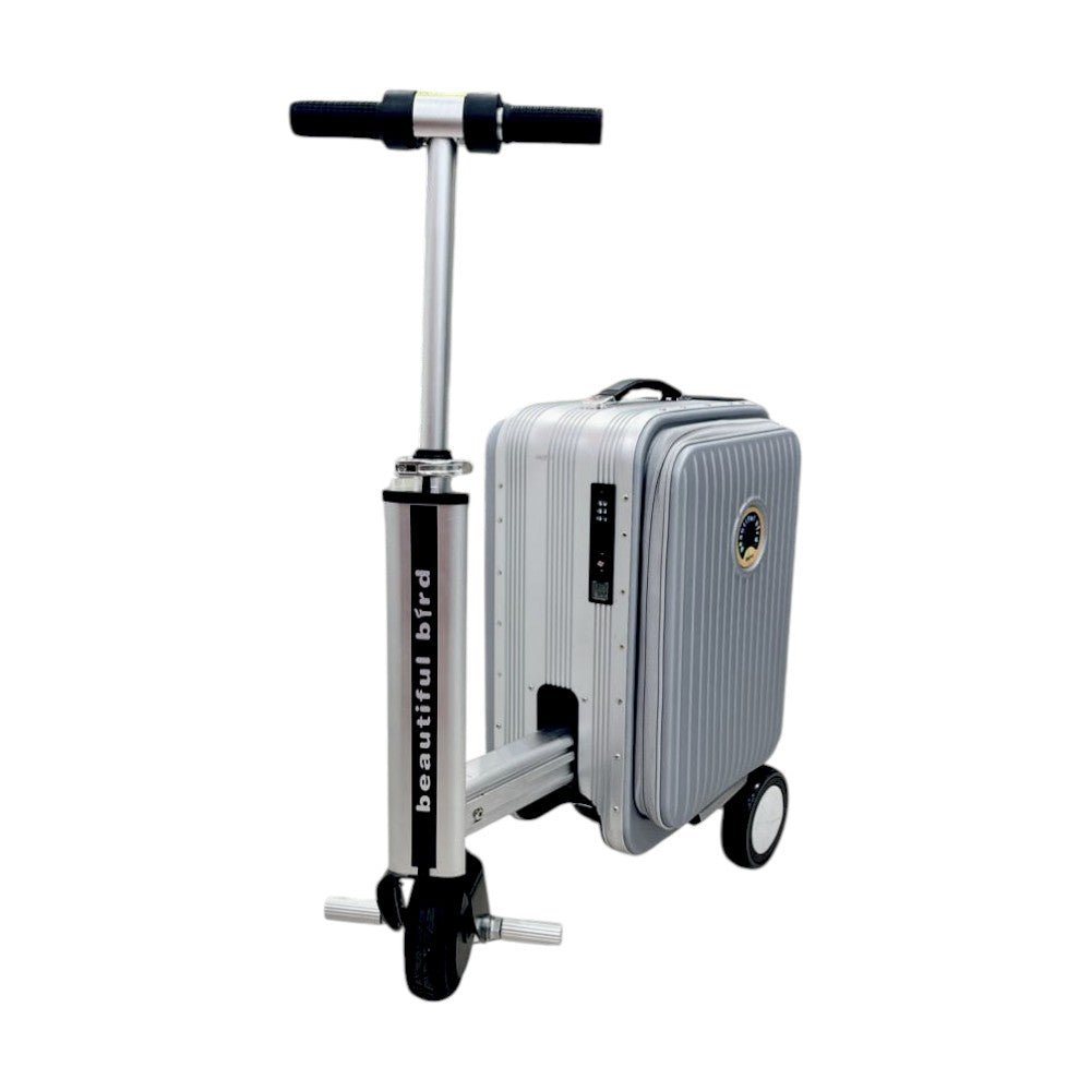 Maleta Scooter Electrónica / Yong Xing / Silver - Yong Xing - Titan.com.pa - 2100001357412