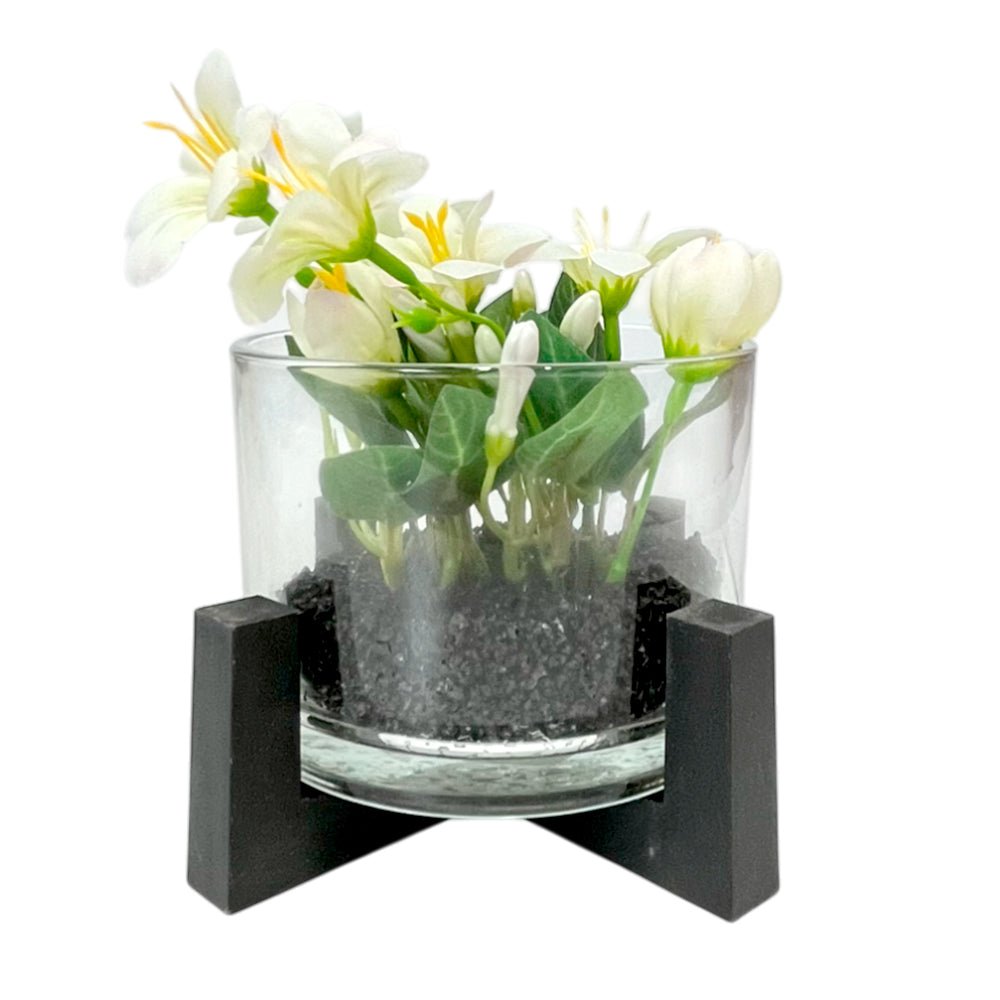 Pote Decorativo de Vidrio Home Elegance 3"x4" / Con Plantita / Surtido - Home Elegance - Titan.com.pa - 2100000437894