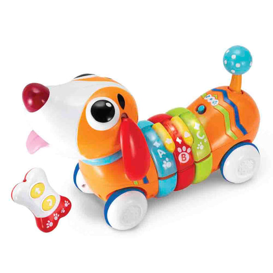 Perrito Arcoiris Winfun