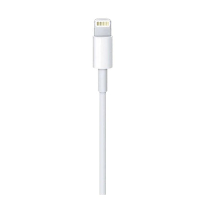Cable Apple USB a Lightning de 2 m Blanco